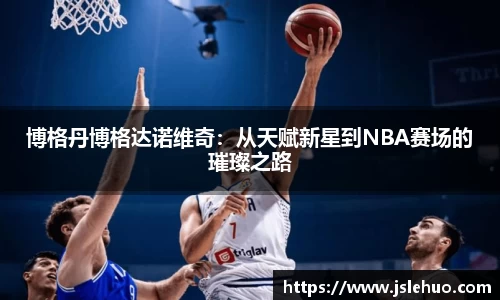 博格丹博格达诺维奇：从天赋新星到NBA赛场的璀璨之路