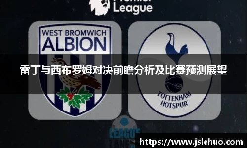 雷丁与西布罗姆对决前瞻分析及比赛预测展望